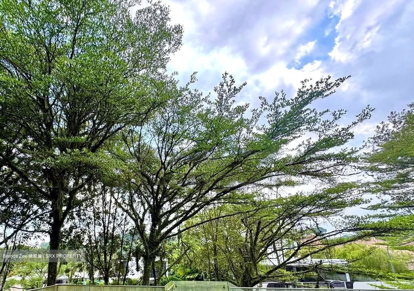 Caldecott Hill Estate (D11), Detached #543061481